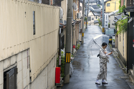 Geisha in de regen
