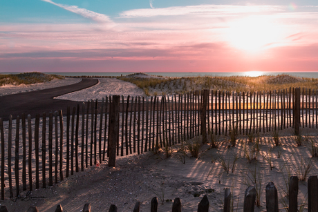 Winterzon aan zee