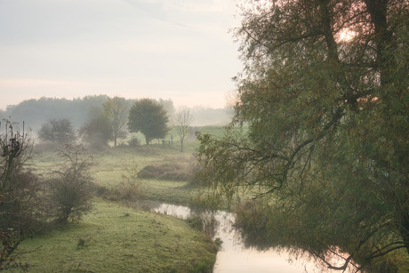 Herfst in de Meinerswijk