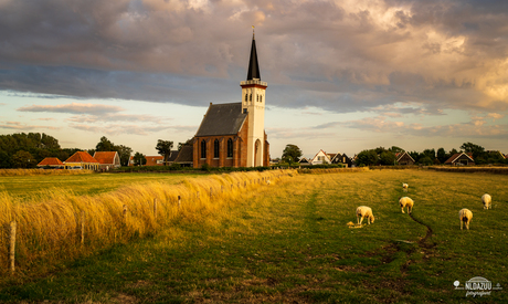Golden hour Den Hoorn (Texel)