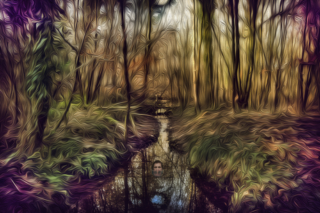 Forest Dream