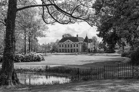 Eeuwenoud, gevangen in tijdloze tinten