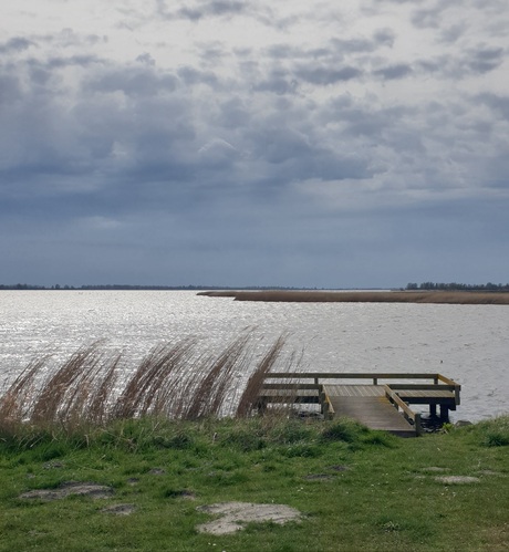 Lauwersmeer