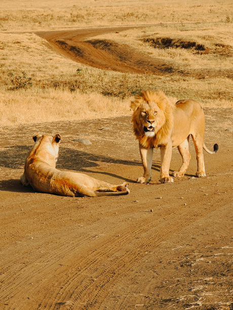 Tanzania Afrika