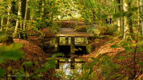 Doorkijkje