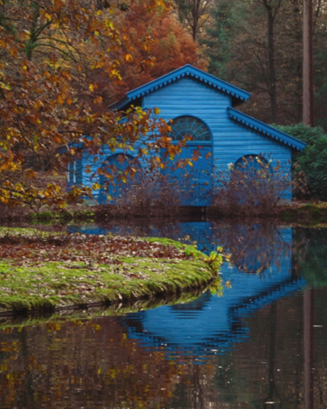 Herfst in het koninklijke bos