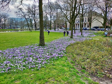 Lente…