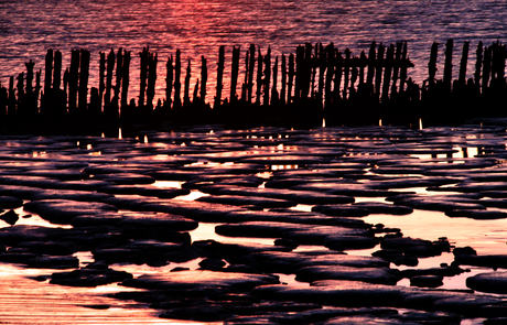 Paaltje bij de Waddenzee