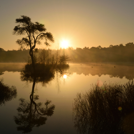 Zonsopkomst