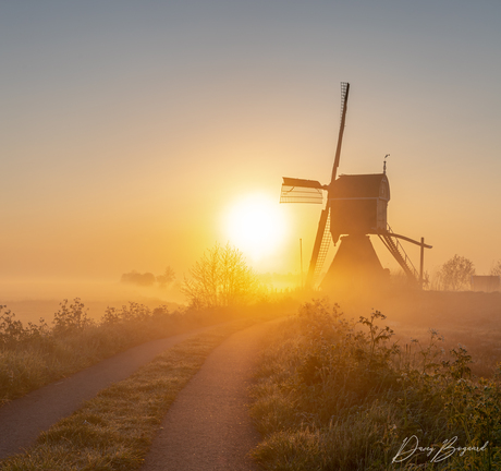 Foggy morning in Streefkerk