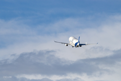 Airbus A330-743L Beluga XL