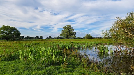 Waterrijk Munnikenland