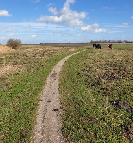 Fietspad 