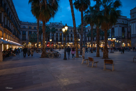 Plaça Reial by night.