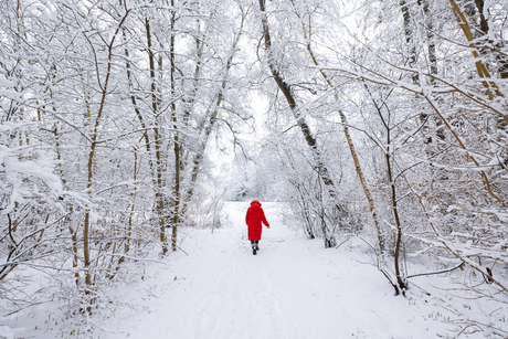 Sneeuw wandeling