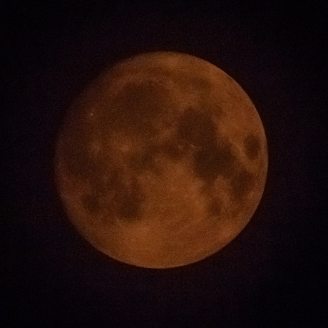 Super Red Moon