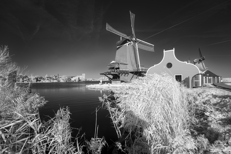 Zaanstad in infrarood #2