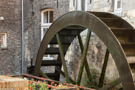 De Bisschops Molen 1