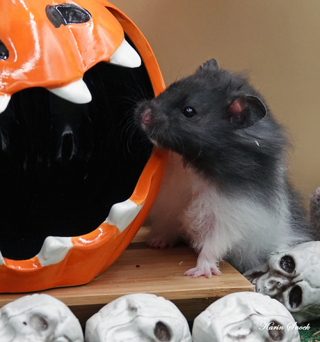 "What's in here...."