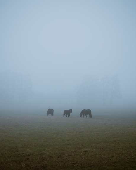 Minimalistisch landschap