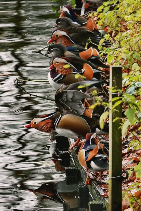 Klaar voor de start! 