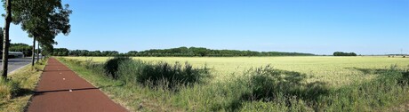 P1220354  SNEL Panorama  H v Holland Haakweg uitz  Bonnenpolder 25 juni 2023  