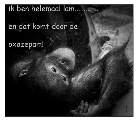 uitgefeest en uitgeteld.........................