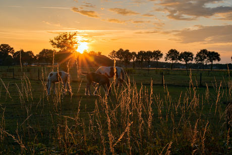 zonsondergang