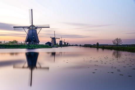 Kinderdijk 