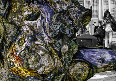 Variatie op de schreeuw