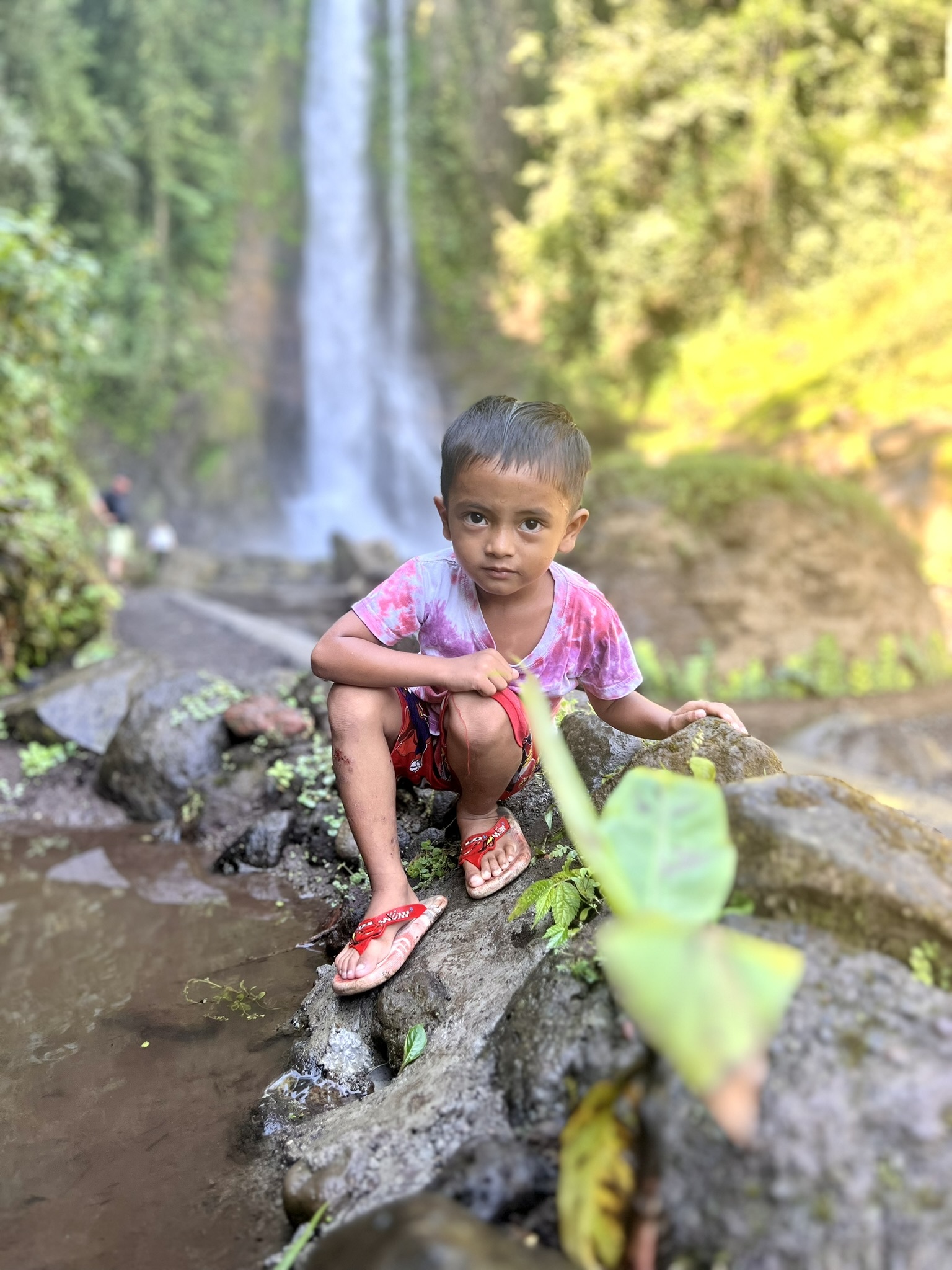 Gitgit Waterval - Bali - Gitgit Waterval  - foto door DannyVR_zoom op 21-11-2024 - locatie: Bali, Indonesië - deze foto bevat: apple, iphone 13 pro, iphone 13 pro back dual wide camera 5.7mm f/1.5, iso 40, diafragma ƒ/1.5, sluitertijd 1/242s, brandpuntafstand 5.7mm, haar, water, plant, waterval, terrestrische plant, mensen in de natuur, natuurlijk landschap, aanpassing, vrije tijd, kofferbak