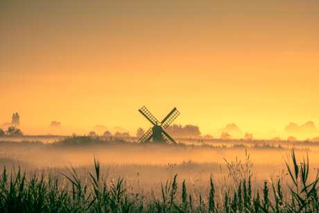 Mistige ochtend Zaanse Schans