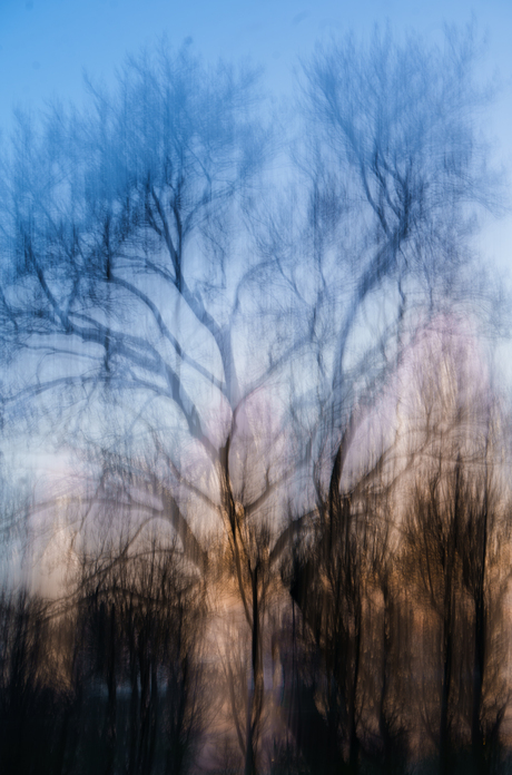 Zonsondergang in mijn tuin