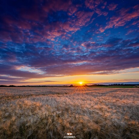 Texel sunset