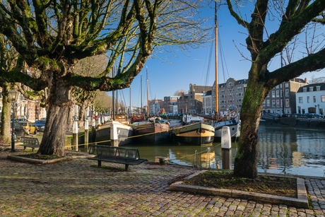 Blik op de Wolwevershaven te Dordrecht