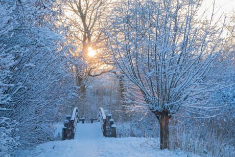 wandelpad in de sneeuw