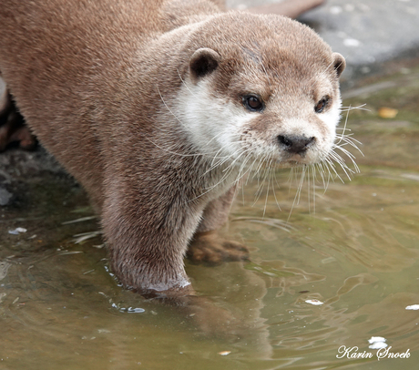 "Ik voel nattigheid..."