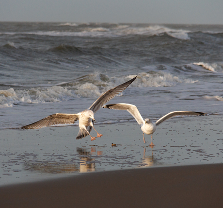 Strand bij Noordwijk