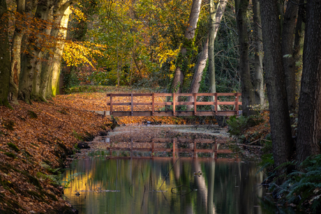 Bridge over calm water