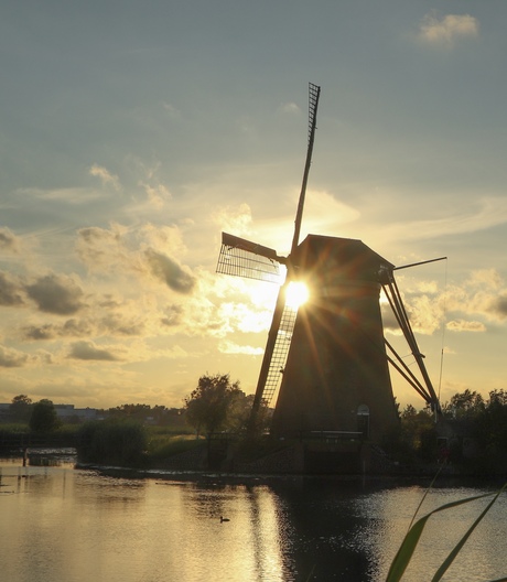 Molen