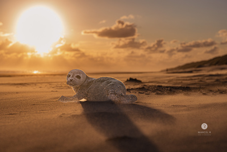 Nog één blik naar de wereld