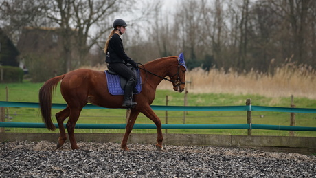 lenstest |Sigma 70-200 | F2.8