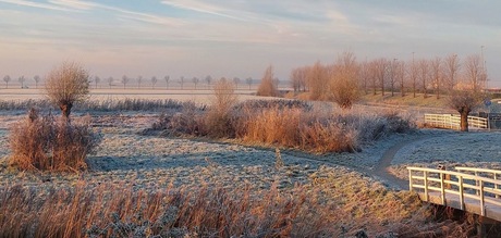 Winterbeeld met ochtendzon