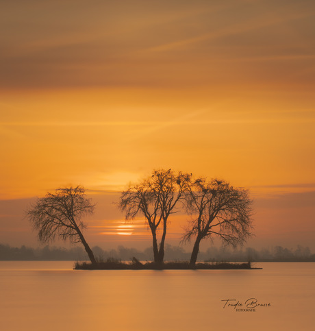 Zonsopgang Reeuwijk 