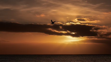 Sunset at sea