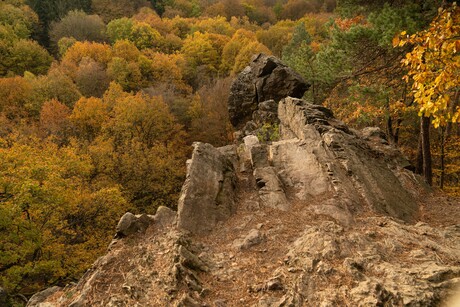 Wandeling Solwaster ( Ardennen )