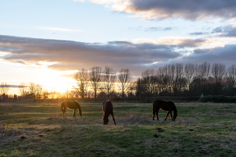 Zonsondergang 