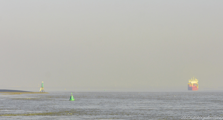 Ons mooie Zeeuws-Vlaanderen op een koude ochtend aan de oevers van de Westerschelde.