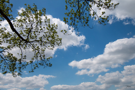 in de wolken