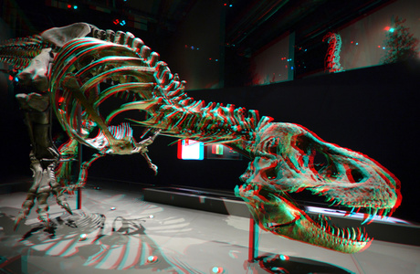 Tyrannosaurus Rex Naturalis Biodiversity Center Leiden 3D 